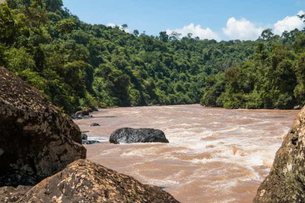 Ruta de los Saltos en Paraguay: Guía de cascadas y aventura