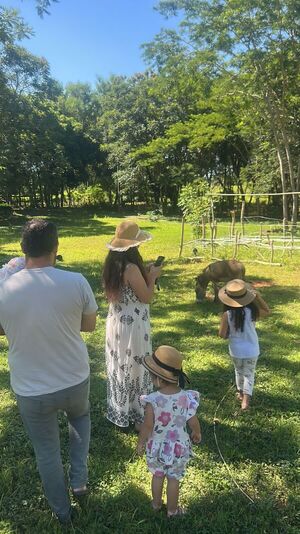 Girasoles en Paraguarí: Visita el campo en Rancho La Linda