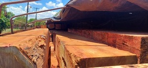 Incautan camión con madera nativa por presunta violación a ley ambiental en Alto Paraná - ADN Digital