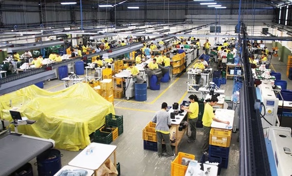 2025, año positivo para los nuevos prestadores de servicios - ADN Digital