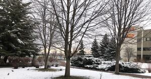 Diario HOY | Ofrecen becas académicas con financiamiento completo en Turquía