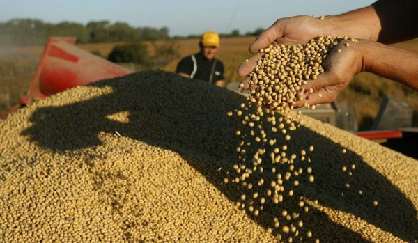 Biodiesel de soja: alerta en el Mercosur ante una posible prohibición de la Unión Europea