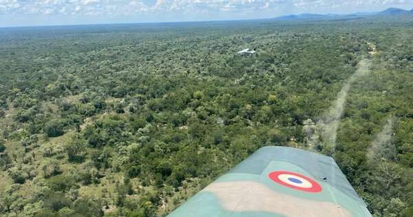 La Nación / Aeronave aterrizó de emergencia en Brasil