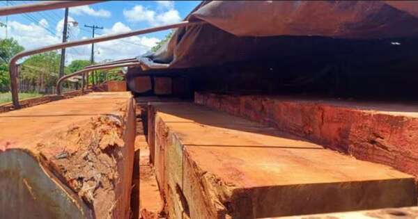 La Nación / Incautan una carga de madera