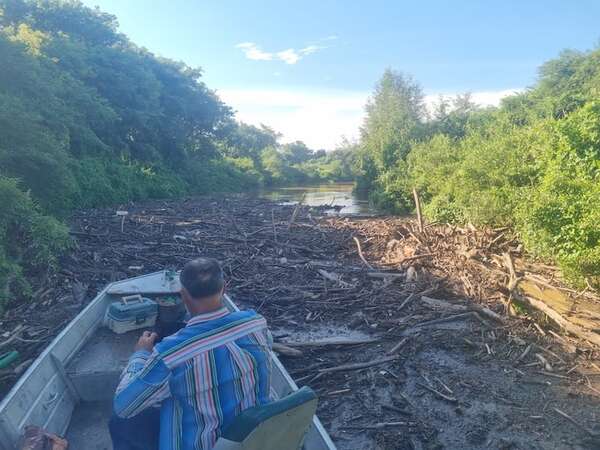 Río Pilcomayo: Sedimentos y vegetales taponan el canal y causan alarma - Economía - ABC Color