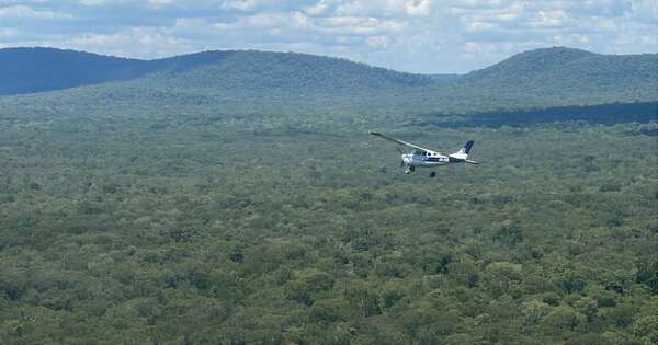 La Nación / Presidente Peña destaca intervención del Super Tucano para interceptar aeronave ilícita