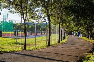 Instan a extremar cuidados ante el intenso calor