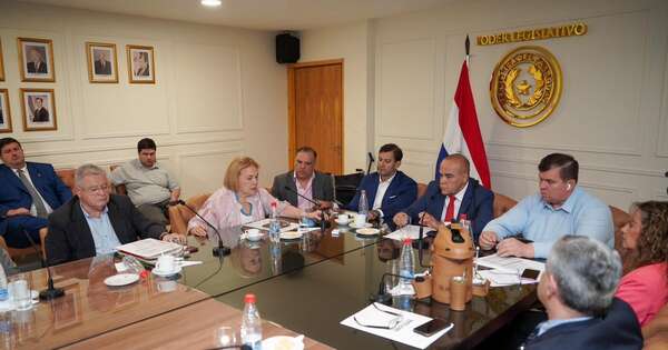 La Nación / Legisladores reciben informe y afirman que la Caja Parlamentaria es sostenible hasta 2040