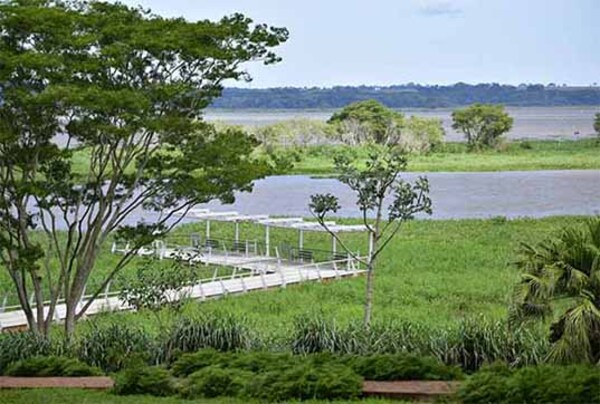 En el día de los humedales, Itaipú reafirma su compromiso con la conservación de estos ambientes | DIARIO PRIMERA PLANA