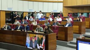 Diputados piden postergar estudio de la ley de reforma de la Caja Fiscal