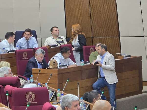 Diputados liberales pide formalmente no tratar el jueves la reforma de la Caja Fiscal - Política - ABC Color