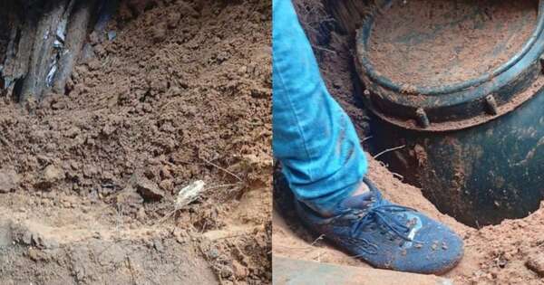 La Nación / En una estancia de Concepción, hallan caleta que pertenecería al EPP