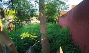 Vecinos denuncian terreno baldío abandonado en pleno centro de Coronel Oviedo - OviedoPress