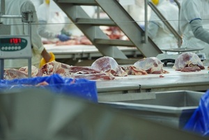 Exportación de carne bovina paraguaya en enero: menor volumen, pero mayor valor por tonelada