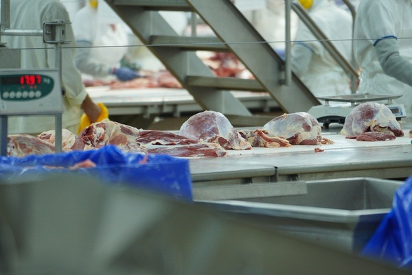 Exportación de carne bovina paraguaya en enero: menor volumen, pero mayor valor por tonelada