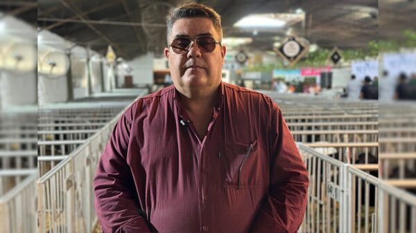 Salinas sobre la exportación de carne ovina: “La limitante es la reposición de corderos por la escasez de vientres”