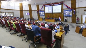 Diputados piden postergar reforma de la Caja Fiscal