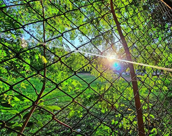 Anuncian jornadas calurosas e inestables para Ciudad del Este - ABC en el Este - ABC Color