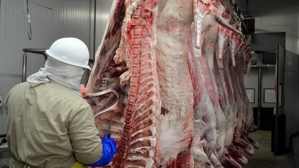 CONACOM confirma que “existen indicios de colusión” entre frigoríficos exportadores