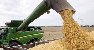 COSECHA DE SOJA AVANZA CON BUENOS RINDES EN ITAPÚA