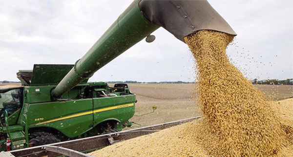 COSECHA DE SOJA AVANZA CON BUENOS RINDES EN ITAPÚA