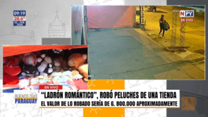 "Ladrón romántico", robó peluches de una tienda en Capiatá