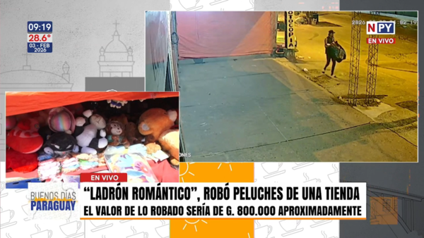 "Ladrón romántico", robó peluches de una tienda en Capiatá