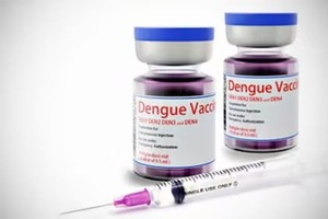 Vacuna contra el dengue será aplicada a personas de 6 a 39 años