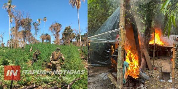 OPERACIÓN “FRENTE SUR II” COMBATE NARCOTRÁFICO EN CAAZAPÁ E ITAPÚA