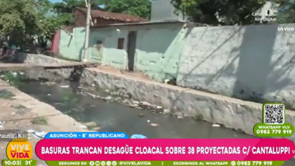 Vecinos denuncian foco insalubre en Asunción