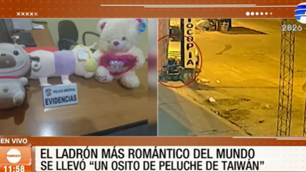 El ladrón mas romántico del mundo