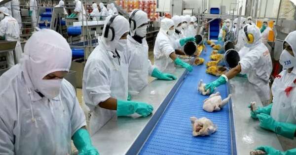 La Nación / Exportaciones avícolas generaron más de USD 742.000 en ingresos en enero