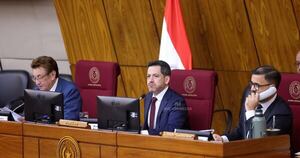 La Nación / Caja Fiscal: comisiones asesoras se reúnen para dictaminar previo al estudio en plenaria de Diputados