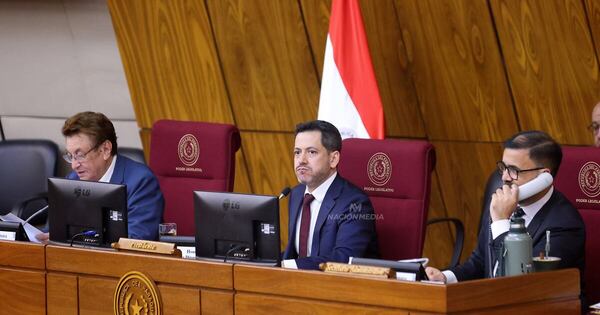 La Nación / Caja Fiscal: comisiones asesoras se reúnen para dictaminar previo al estudio en plenaria de Diputados