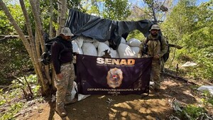 Destruyen cientos de hectáreas de marihuana entre la reserva San Rafael Itapúa y el Parque Caazapá