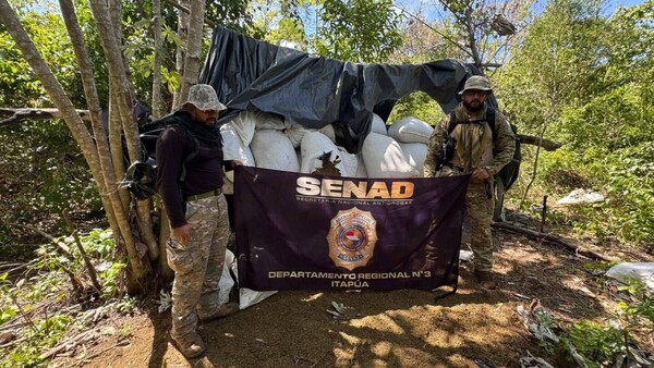 Destruyen cientos de hectáreas de marihuana entre la reserva San Rafael Itapúa y el Parque Caazapá