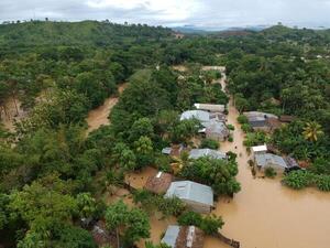 Lluvias extremas provocan inundaciones y fuertes pérdidas ganaderas en Colombia