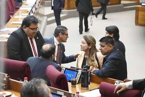 Cartismo “maquillará” la jubilación parlamentaria para evitar reproche ciudadano - Política - ABC Color