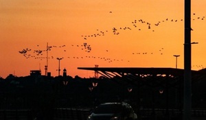 Calor intenso y humedad marcarán el resto de la semana