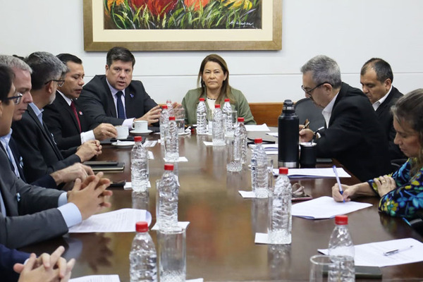 Comisiones asesoras analizarán proyecto de reforma de la Caja Fiscal en reunión extraordinaria