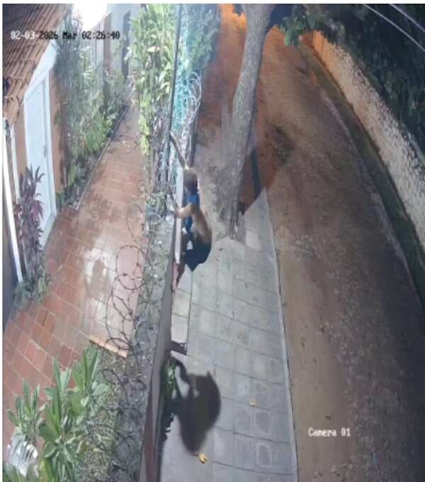 Video: detienen a joven adicto que trepaba murallas para robar en casas - Policiales - ABC Color