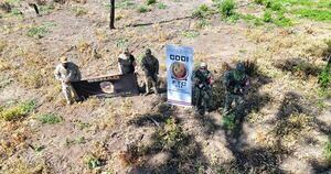 La Nación / Operación Frente Sur II: pérdida de USD 65 millones para organizaciones criminales