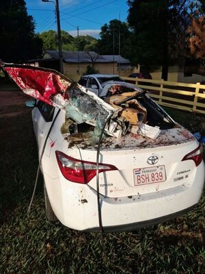 Popular / Un caballo causó tremendo accidente en la ruta y murió el equino