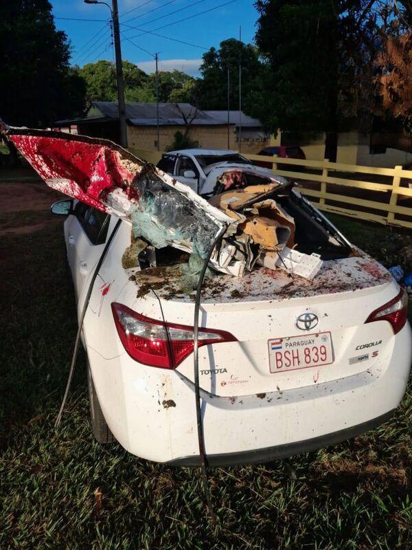 Popular / Un caballo causó tremendo accidente en la ruta y murió el equino