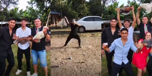 Defensa Animal investiga maltrato a gallos y gallinas en Coronel Oviedo | Unicanal