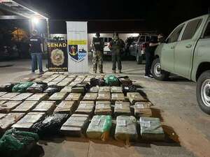 Incautan más de 900 kilos de marihuana en Ñeembucú - Nacionales - ABC Color