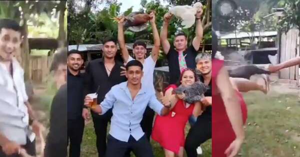 Diario HOY | Armaron fiesta y maltrataron gallinas por diversión