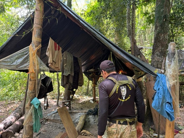 Operativo “Frente Sur II” asesta golpe de US$ 65 millones al narcotráfico en áreas protegidas - ADN Digital