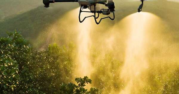 La Nación / Cómo impactan la tecnología de aplicación, la IA y la siembra de precisión en el agro paraguayo 