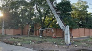 Temporal provocó caída de árbol y daños en columnas de la ANDE en inmediaciones del CREC - Concepción al Día